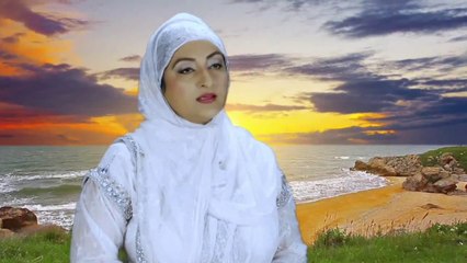 Mein Tere Wastay (Shagufta Awan)