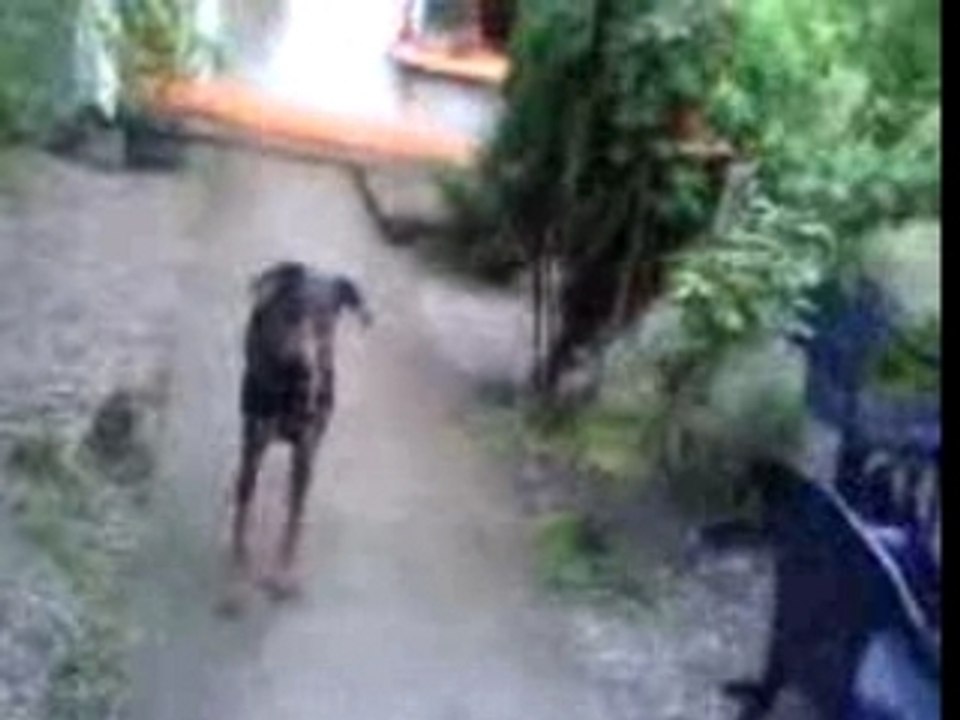 Alvann 17-05-07_09.12