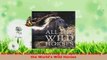 Read  All the Wild Horses Preserving the Spirit and Beauty of the Worlds Wild Horses Ebook Free