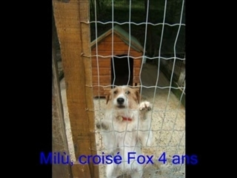 Refuge clochards Poilus 2