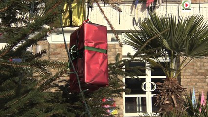 Ile-aux-Moines: Hiver au Soleil - Paris Bretagne Télé