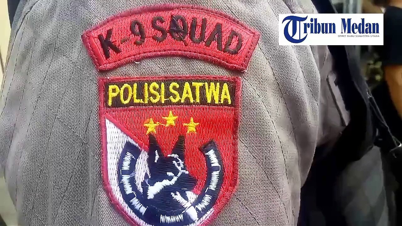 Gerebek Perjudian, Polisi Temukan Senjata Laras...