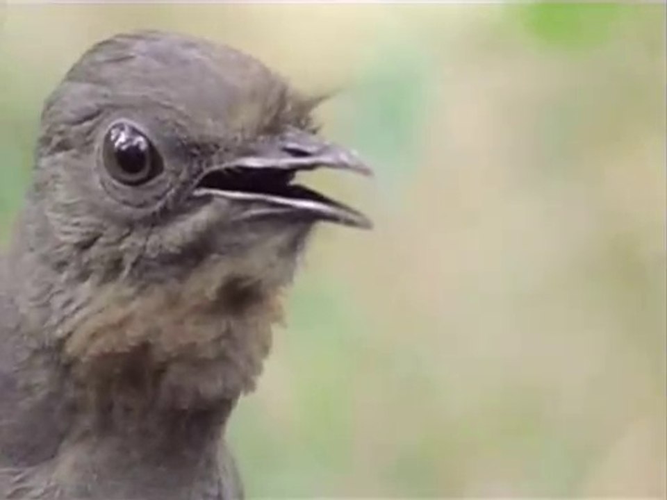 Deux et deux quatre, quatre et quatre huit, huit et huit font seize...