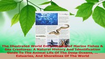Read  The Illustrated World Encyclopedia of Marine Fishes  Sea Creatures A Natural History And Ebook Free