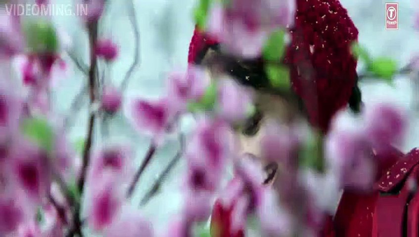 Sanam Re (Title Song) HD