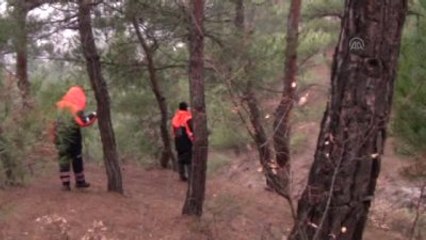 Reşadiye'de Kaybolan İki Çocuğun Arama Çalışmaları