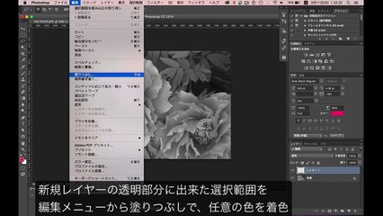 モノクロ写真の部分着色
