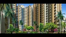 Amrapali Aurum Towers Has luxurious and luscious