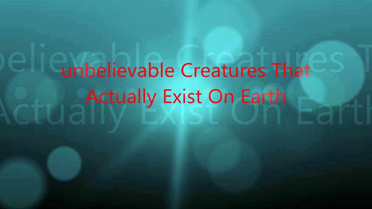 unbelievable Creatures That  Actually Exist On Earth
