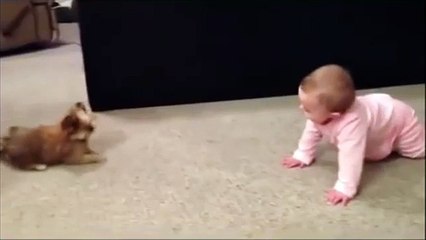 BEBEKLE KÖPEĞİN KAVGASI