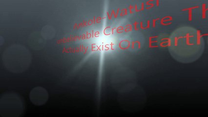 Ankole-Watusi unbelievable Creature That  Actually Exist On Earth