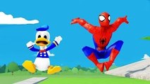 FUNNY Amazing SpiderMan with Donald Duck meets Disney Pixar Cars Tow Mater ! with ♫Nursery