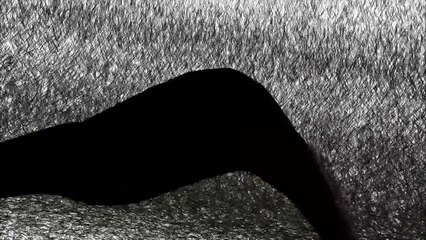 Tunivisions Live : Relampago Negro -Le nouveau clip de Achreg Chargui Trio