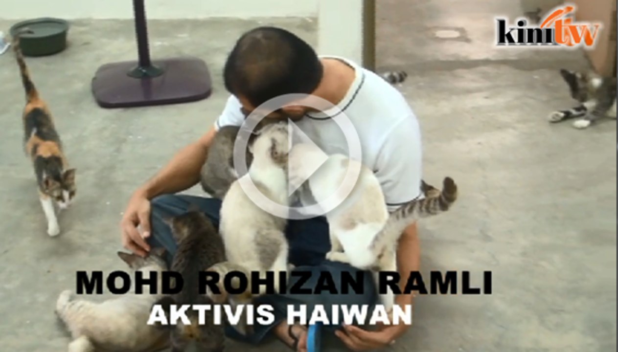 Berhenti kerja untuk 'tinggal' bersama 80 ekor kucing