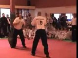 Martial Arts - Krav Maga Self Defense