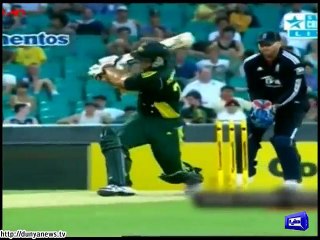 Cheaters from the grounds of cricket