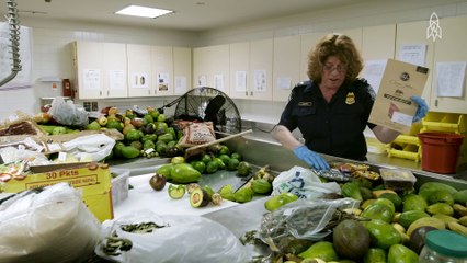 Que devient toute la nourriture saisie par la douane américaine