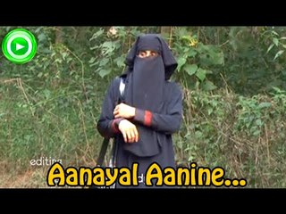 Mappila Album Songs New 2014 - Aanayal Aanine Pole  - Album Songs Malayalam