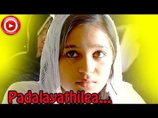 Mappila Album Songs 2014: Padalayathilea... | Malayalam Folk Music 🎶