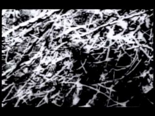 Thaayai Kaatha Thanayan  Part 1 | M.G.R | B.Saroja Devi