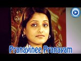 Mappila Album Songs New 2014 - Pranayinee Pranayam Ee Sangeetham - Album Songs Malayalam