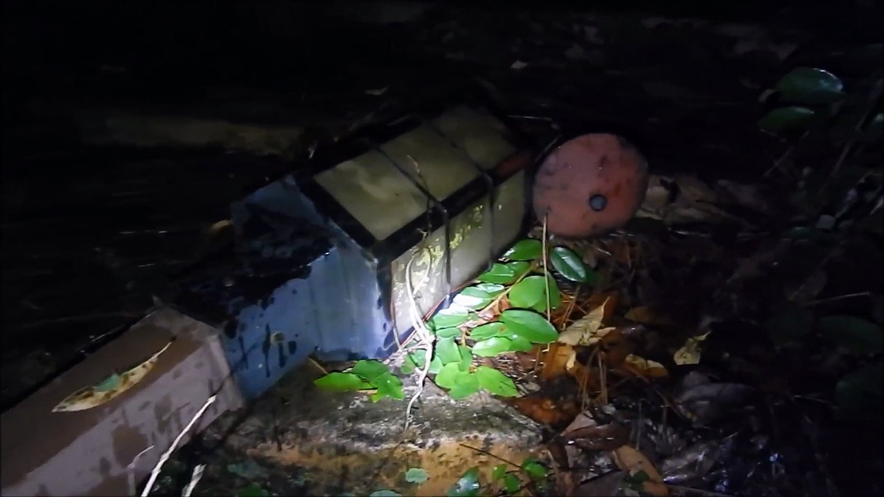 Explorer un parc Disney abandonné en pleine nuit. Flippant