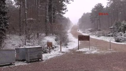 Kocaeli'nde Yüksek Kesimler Karla Kaplandı