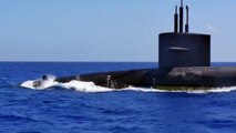 US Submarine Diving Like a Whale Next to Dolphins