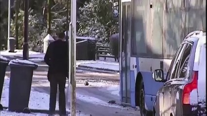 'Frostbit' boy goes viral after appearing in Irish news broadcaster's