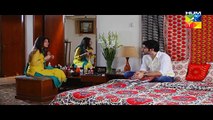 Ek Thi Misaal Episode 32 Full on Hum TV - 29 Dec 2015