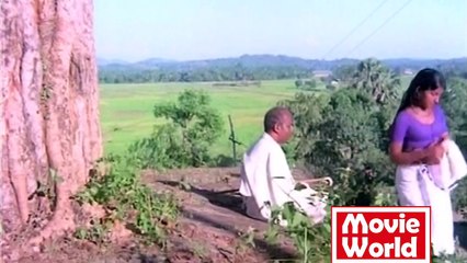 Neelathamara (1979) - Malayalam Classic Full Movie 🎬