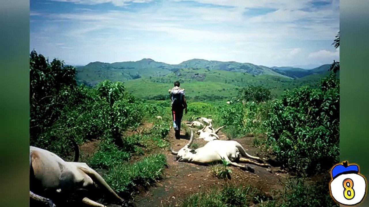 Things You Didn't Know About Earth