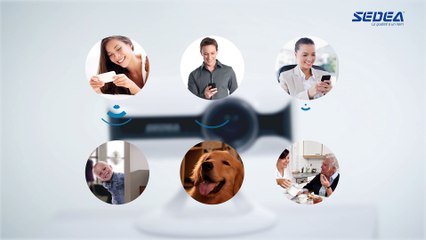Caméra de surveillance wifi HD - ELEGANTE CAM SEDEA