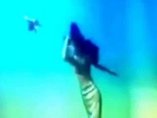 Real Mermaid Presented in Exhibition Held in France