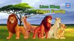 Lion King Finger Family Nursery Rhymes | Lion King Cartoon Finger Family Rhyme for Childre