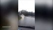 Mulher aproveita enchentes para surfar no meio da rua na Irlanda