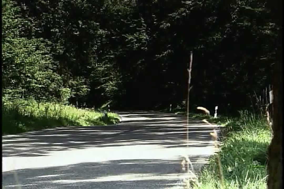 Sweet Ride - 2011 Audi A8L