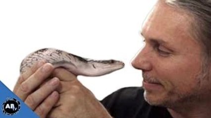 How To Make Millions With A Reptile Business! SnakeBytesTV - Ep. 398 : AnimalBytesTV