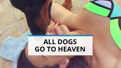 Demi Lovato shares tragic doggy news