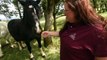200 Rescued Horses Are Loving Life At Their New Sanctuary