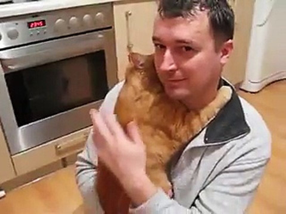 The happiest cat in the World