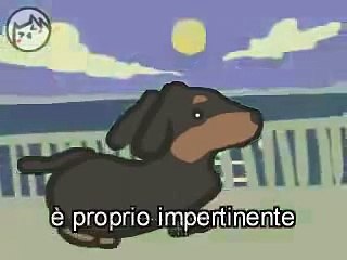 Il cane Pufoente HIT PAZZESCA!!!