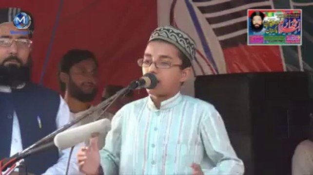 Hum ko maloom hy Ham Nishanay pe hain by Hasan Afzaal Siddique