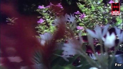 Karimpana - Malayalam Movie 1980 Romentic Scene 1 [HD]