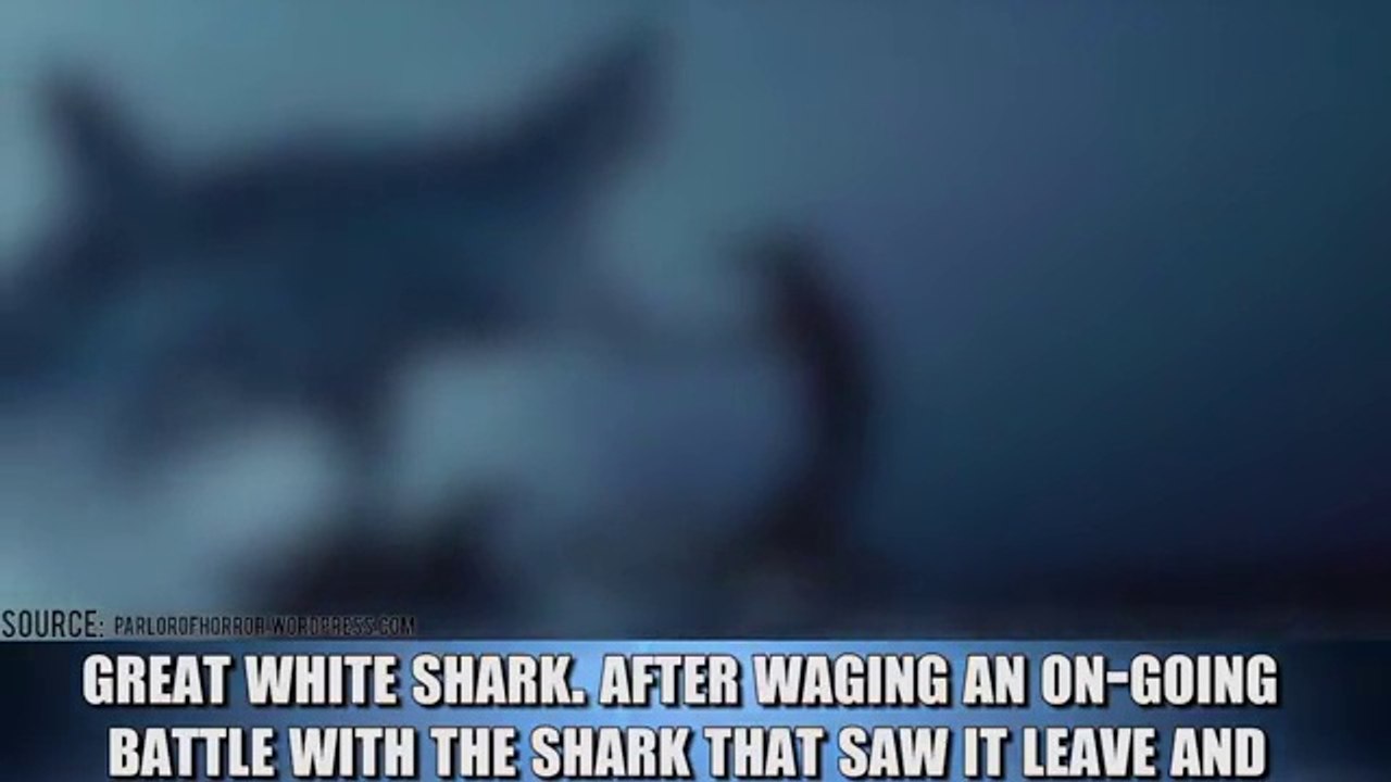 Unbelievable Shark Attack Stories