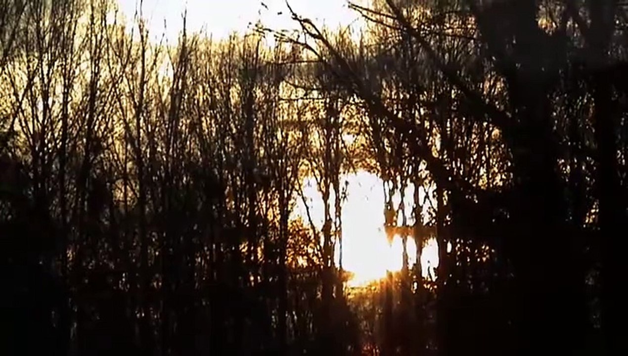 2015-12-30 Canal