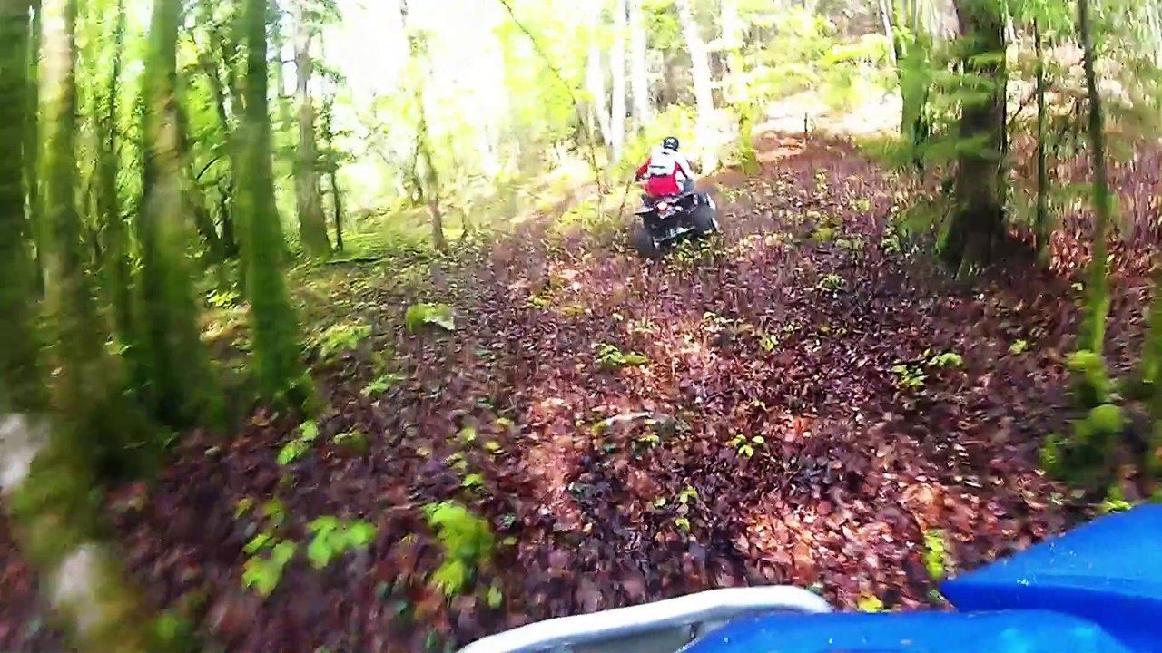 QUAD YAMAHA 350 & 660 RAPTOR 2015