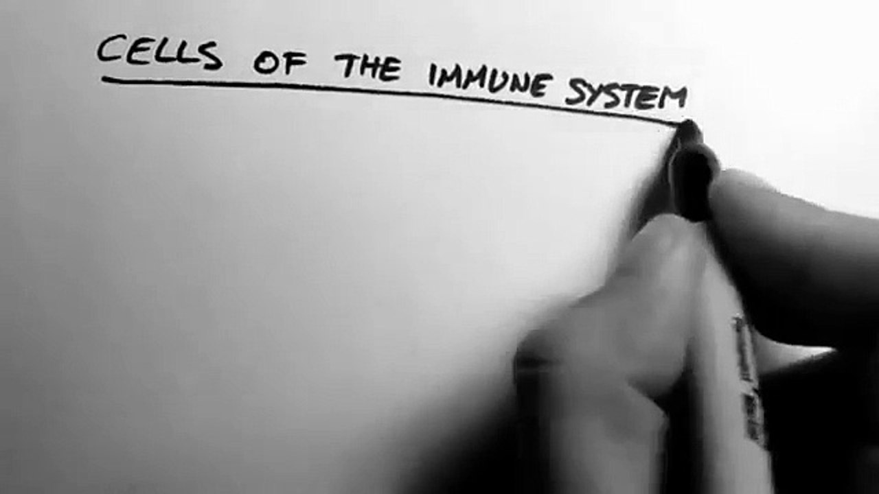Cells_of_the_Immune_System