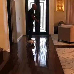 Mike Tyson falls off his hoverboard