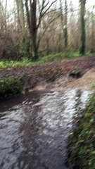 DORA & MARINE PASSAGE DANS L'EAU